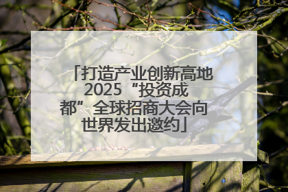 打造产业创新高地 2025“投资成都”全球招商大会向世界发出邀约