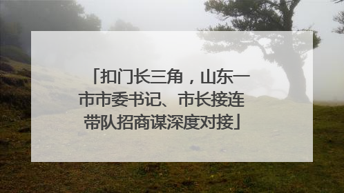 扣门长三角，山东一市市委书记、市长接连带队招商谋深度对接
