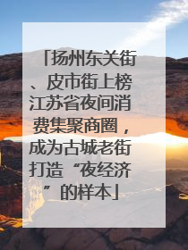 扬州东关街、皮市街上榜江苏省夜间消费集聚商圈，成为古城老街打造“夜经济”的样本