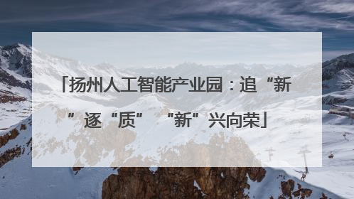 扬州人工智能产业园：追“新”逐“质” “新”兴向荣