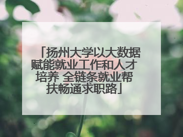 扬州大学以大数据赋能就业工作和人才培养 全链条就业帮扶畅通求职路