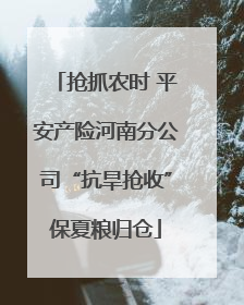 抢抓农时 平安产险河南分公司“抗旱抢收”保夏粮归仓
