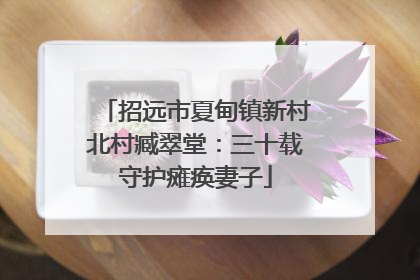 招远市夏甸镇新村北村臧翠堂：三十载守护瘫痪妻子