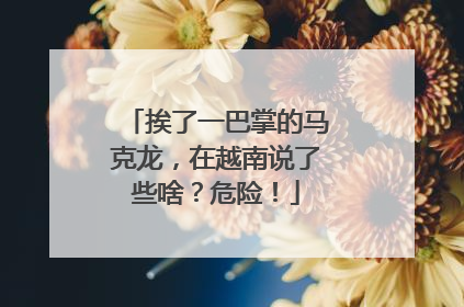 挨了一巴掌的马克龙，在越南说了些啥？危险！