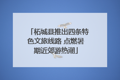 柘城县推出四条特色文旅线路 点燃暑期近郊游热潮