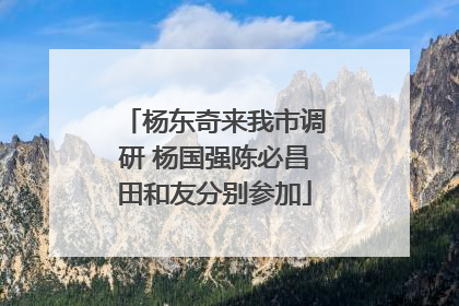 杨东奇来我市调研 杨国强陈必昌田和友分别参加