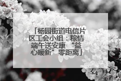 杨园街道电信片区工会小组：粽情端午送安康 “益心暖新”零距离