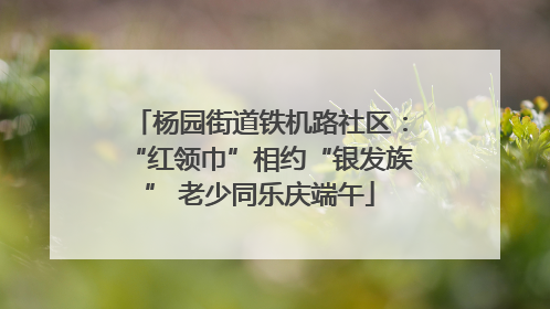 杨园街道铁机路社区：“红领巾”相约“银发族” 老少同乐庆端午