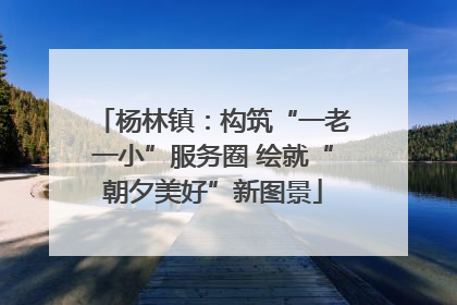 杨林镇：构筑“一老一小”服务圈 绘就“朝夕美好”新图景