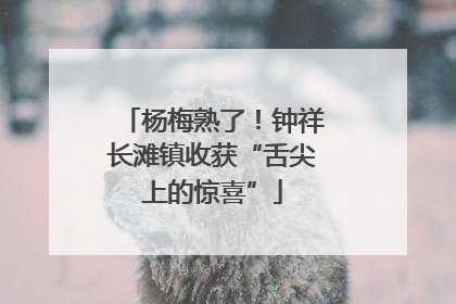 杨梅熟了！钟祥长滩镇收获“舌尖上的惊喜”