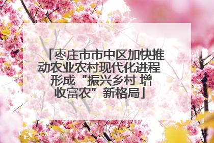 枣庄市市中区加快推动农业农村现代化进程 形成“振兴乡村 增收富农”新格局