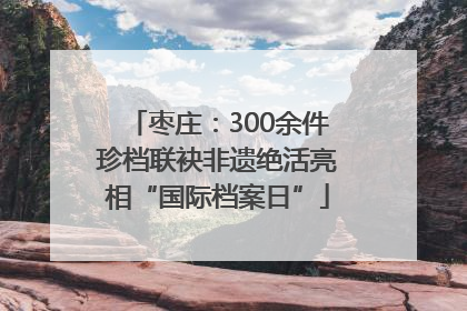 枣庄：300余件珍档联袂非遗绝活亮相“国际档案日”