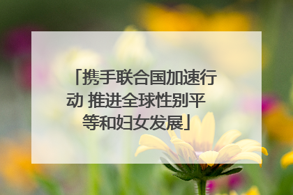 携手联合国加速行动 推进全球性别平等和妇女发展