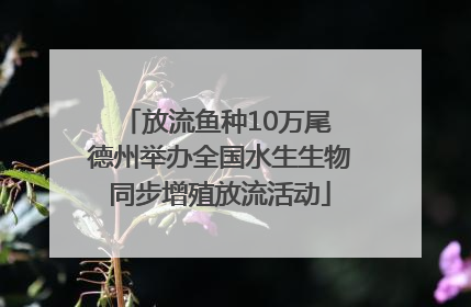 放流鱼种10万尾 德州举办全国水生生物同步增殖放流活动