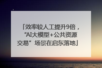 效率较人工提升9倍，“AI大模型+公共资源交易”场景在启东落地