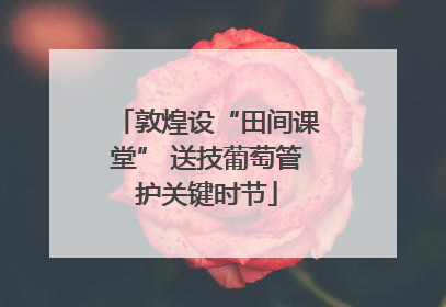 敦煌设“田间课堂” 送技葡萄管护关键时节