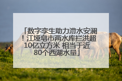 数字孪生助力澧水安澜！江垭皂市两水库拦洪超10亿立方米 相当于近80个西湖水量