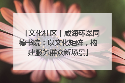 文化社区｜威海环翠同德书院：以文化矩阵，构建服务群众新场景