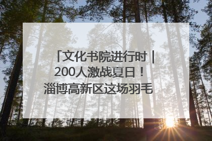 文化书院进行时｜200人激战夏日！淄博高新区这场羽毛球比赛太酷