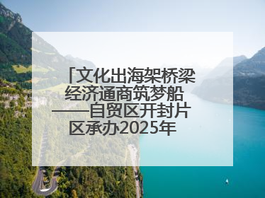 文化出海架桥梁 经济通商筑梦船——自贸区开封片区承办2025年匈牙利文旅交流对接活动专场