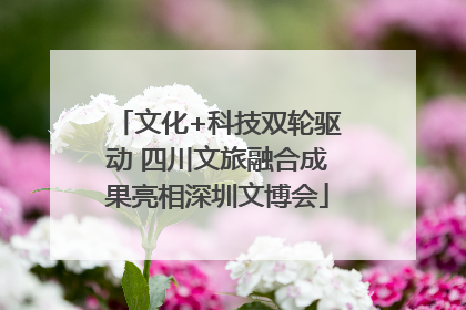 文化+科技双轮驱动 四川文旅融合成果亮相深圳文博会