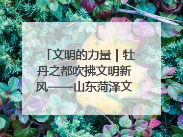 文明的力量｜牡丹之都吹拂文明新风——山东菏泽文明创建一线见闻