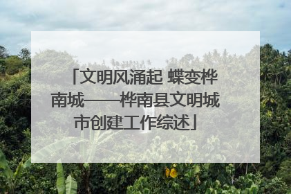 文明风涌起 蝶变桦南城——桦南县文明城市创建工作综述