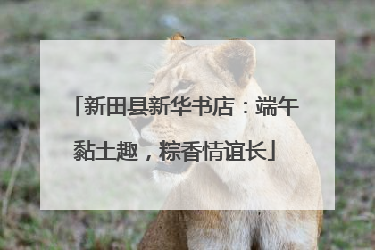 新田县新华书店：端午黏土趣，粽香情谊长