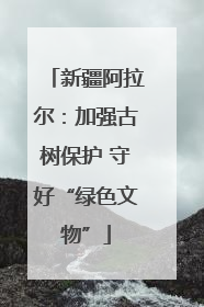 新疆阿拉尔：加强古树保护 守好“绿色文物”