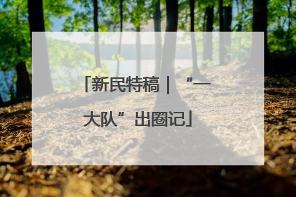 新民特稿｜“一大队”出圈记