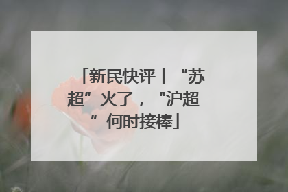 新民快评丨“苏超”火了，“沪超”何时接棒