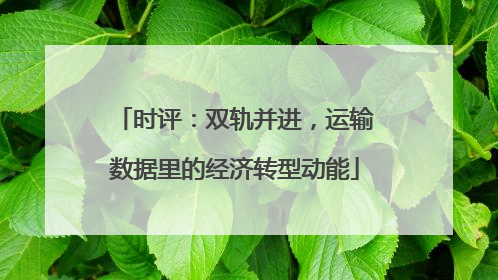 时评：双轨并进，运输数据里的经济转型动能