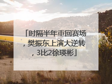 时隔半年重回赛场，樊振东上演大逆转，3比2徐瑛彬