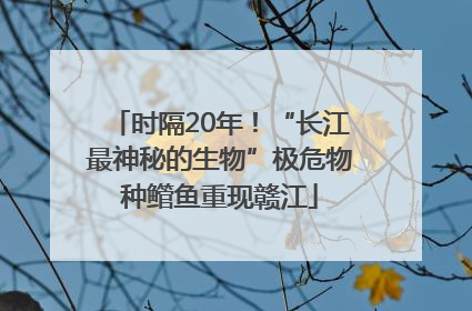 时隔20年！“长江最神秘的生物”极危物种鳤鱼重现赣江