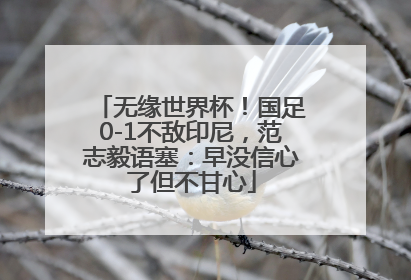 无缘世界杯！国足0-1不敌印尼，范志毅语塞：早没信心了但不甘心