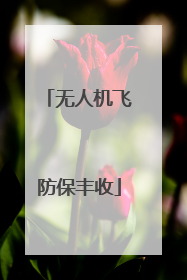 无人机飞防保丰收