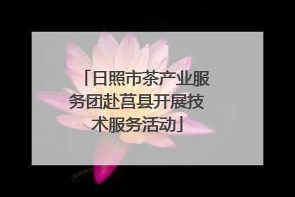 日照市茶产业服务团赴莒县开展技术服务活动