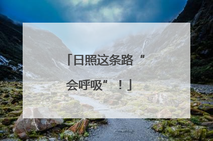 日照这条路“会呼吸”！
