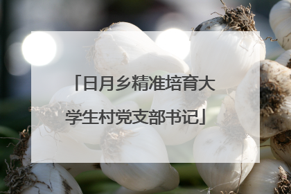 日月乡精准培育大学生村党支部书记