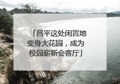 昌平这处闲置地变身大花园，成为校园崭新会客厅
