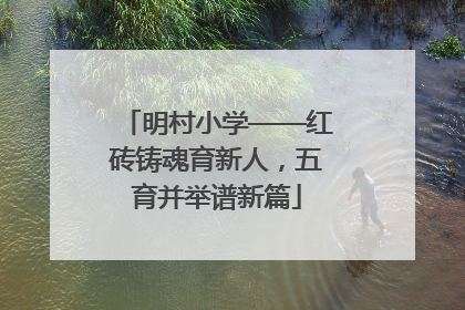 明村小学——红砖铸魂育新人，五育并举谱新篇