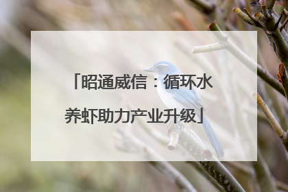 昭通威信：循环水养虾助力产业升级
