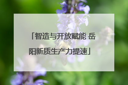 智造与开放赋能 岳阳新质生产力提速