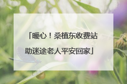 暖心！桑植东收费站助迷途老人平安回家