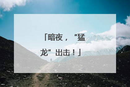 暗夜，“猛龙”出击！