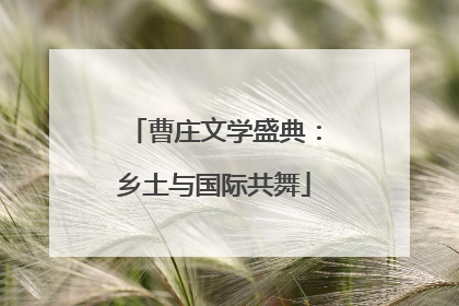 曹庄文学盛典：乡土与国际共舞