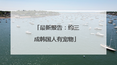 最新报告：约三成韩国人有宠物