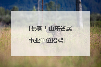 最新！山东省属事业单位招聘