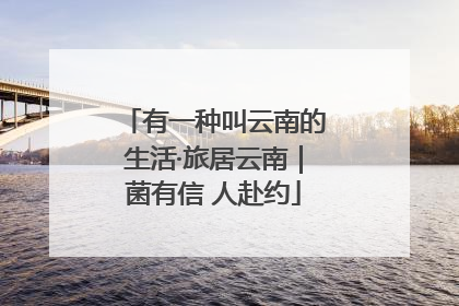 有一种叫云南的生活·旅居云南｜菌有信 人赴约