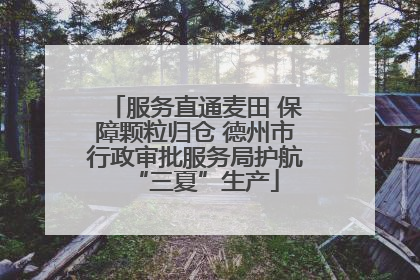 服务直通麦田 保障颗粒归仓 德州市行政审批服务局护航“三夏”生产